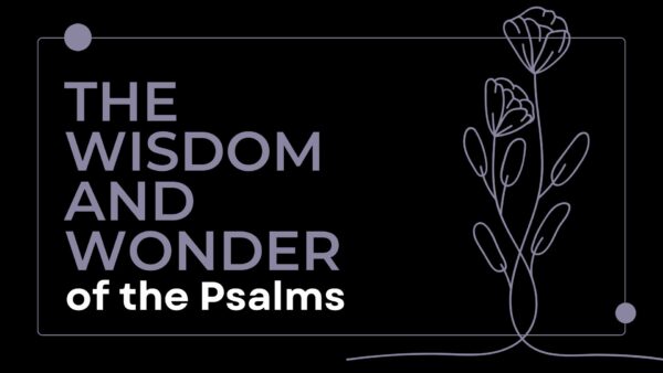 Psalm 16: Trust That Breeds Wonder Image